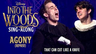 Into the Woods  Agony Reprise  SingAlong [upl. by Harvison215]