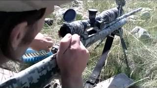 Long Range 101 Part 1  Introduction  Rex Reviews [upl. by Aleekat447]