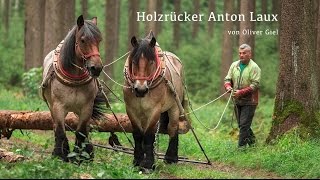 Holzrücker  Waldarbeit mit Pferden [upl. by Sucramad256]