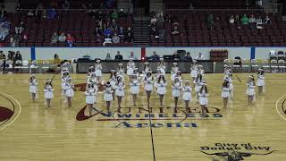 DCHS Drill Team Performs Hallelujah LED Wings at TOC 2019 [upl. by Idolla961]