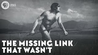 The Missing Link That Wasn’t [upl. by Retla]