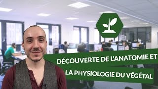 Découverte de lanatomie et la physiologie du végétal  SVT  TS  digiSchool [upl. by Eralc]