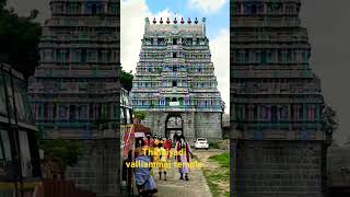 Thillaiyadi valliammai temple thiruvannamalai shortsvideo travelshorts [upl. by Alhak]