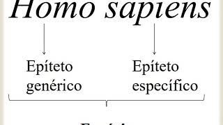 Taxonomia e Sistemática Disciplina de Biologia 2°Ano Médio [upl. by Slemmer]