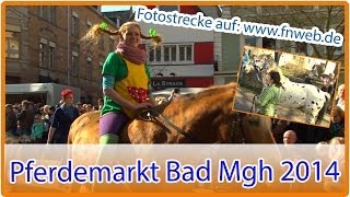 Pferdemarkt in Bad Mergentheim begeistert Tausende  by Fränkische Nachrichten [upl. by Alegnaoj650]