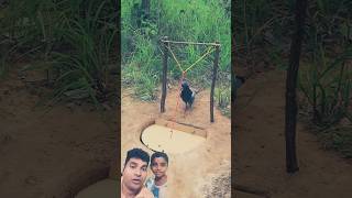 Survival Skills SIMPLE and very USEFUL with cardboard parrot trap survival ytshorts shorts [upl. by Nedarb]