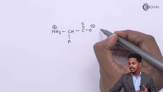 Amphoteric Behaviour of Amino Acids  Biomolecules  Chemistry Class 12 [upl. by Marva]