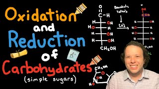 Oxidation and Reduction of Carbohydrates  Nomenclature Explained [upl. by Mordecai]