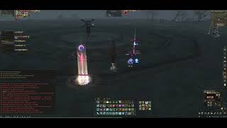 Lineage 2 Eviscerator PvP Keep distance bro [upl. by Neelcaj363]