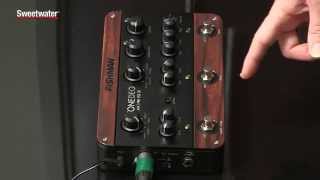 Fishman ToneDEQ Guitar Preamp Effects and EQ Pedal Review by Don Carr [upl. by Yeuh316]