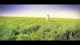 Haroon Andishwar Dil e Tang New Afghan Song 2013 [upl. by Cavil]