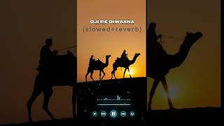 Oji Re Diwaana  slowedreverb Chitralekha sen  rajasthani folk song  Lofisongs001aj [upl. by Joshi]