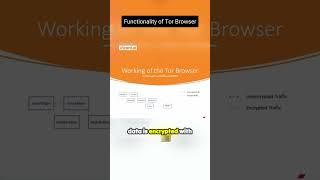 Functionality of Tor Browser TorBrowser OnlinePrivacy Anonymity [upl. by Ford694]