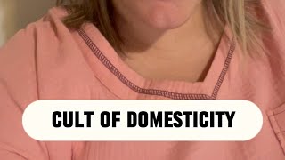 Cult of Domesticity  APUSH in 1 MIN Daily [upl. by Kirre748]