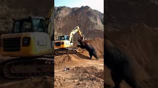 Excavator operator never forget this Day youtubeshorts shorts shortvideos excavator bear [upl. by Haydon]