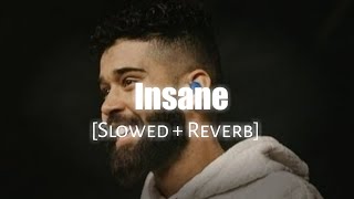 Insane  Slowed  Reverb ft Ap Dhillon  Namyaeditz [upl. by Norit]