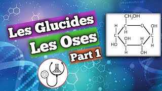 Biochimie Les glucides part1  1er année médecine [upl. by Igor393]