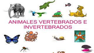 Animales vertebrados e invertebrados  segundo grado de primaria [upl. by Colston481]