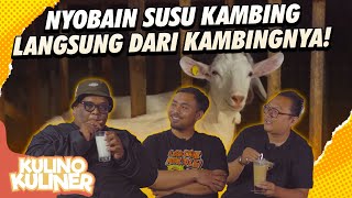 Sinambi Farm Mukti Entut Akhirnya Kesampean Main Ke Peternakan  Kulino Kuliner [upl. by Zirtaeb]