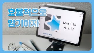 아직도 그렇게 암기하니  Anki 사용법 Ep 1 Anki 기본 기능 공유 덱 [upl. by Surtemed]