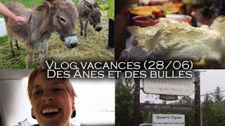 VLOG VACANCES 2806  DES ÂNES ET DES BULLES [upl. by Alasdair]