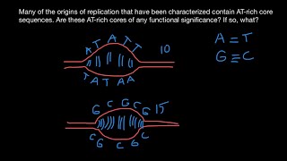 Origin of replication explained [upl. by Maril535]