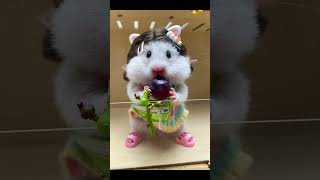 Adorable Hamster eating grape可爱鼠鼠吃葡萄hamsters cute pets animals funnyeatingeatshorts [upl. by Aniger]