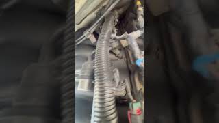 1998 Trans Am Ls1 engine noise [upl. by Renmus]