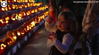 Over 500 jackolanterns on display at Transylvania University in Kentucky [upl. by Eldoree]