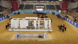 AUGUSTA FUTURITY PROMO VIDEO [upl. by Pillyhp433]