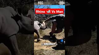 Baby Rhino vs Poachers A Heartbreaking Showdown 🦏💔 shorts viralvideo [upl. by Mcclure842]