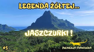 Polinezja Francuska 5 Moorea i jej tajemice [upl. by Llehsor]