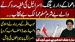 Muslim Countries Exposed  Details by Syed Ali Haider [upl. by Nwatna99]