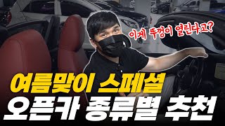 여름 특집 오픈카 종류별 추천 1000만원에 뚜껑 열리는 차 타는 법 [upl. by Lamrert]