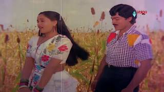 Kondaveeti Raja Movie Songs  Naa Koka Bagunda  Chiranjeevi Radha VijayaShanthi [upl. by Worsham]