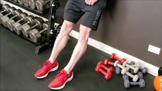 Bodyweight Tibialis Raise  Fix Shin Splits [upl. by Amihsat486]