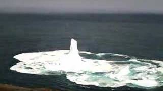 Iceberg collapses off of Signal Hill  North Trail [upl. by Clarke111]