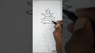 Deodar Tree 🎄🎄🎄🌲🌲🌲 Dràwing Easy To Draw a Beautiful Deodar Tree Step by Step artandcraft draw [upl. by Fritze]