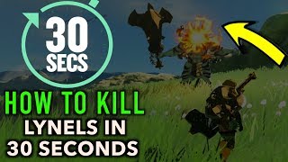 How to Beat a Lynel in 30 Seconds or Less in Zelda Breath of The Wild [upl. by Gnivre]