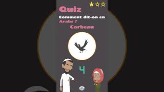 22  Quiz Comment dit on en Arabe  Moineau  Pigeon  Flamant [upl. by Itnuahsa]