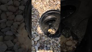 How To Eliminate Water From Flooding Your Yard [upl. by Mandell]