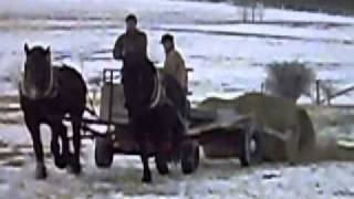 Horse drawn bale unroller [upl. by Scever]