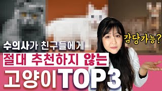 수의사가 친구들에게 절대 추천하지 않는 고양이 TOP3 ㅣ 고양이 종류별 질병과 단점 [upl. by Ymerej]