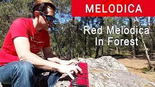 Fire Melodica In Forest  Ben Toury [upl. by Collayer344]