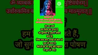 mahamurtya jaya mantram🙏 Maha murtrunjay mantramahadev songmahadev trendingshorts viralshorts [upl. by Litt]