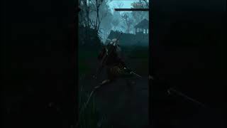 Witch Vs Witcher shorts Witcher fight [upl. by Mckeon]