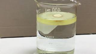 Chitosan in Water [upl. by Zel]