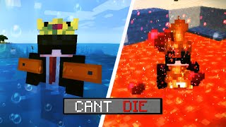 Minecraft but Dying is Impossible [upl. by Anirdua]