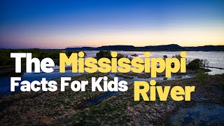 Exploring the Mississippi River Delta Discovering Wetlands and Coastal Habitats for Kids [upl. by Trixie843]