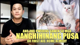 ANONG PWEDING GAWIN SA MGA NANGHIHINANG PUSA OR FIRST AID HOME REMEDY SA MGA NANGHIHINANG PUSA [upl. by Airamak]